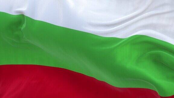全屏保加利亚国旗缓缓飘扬
