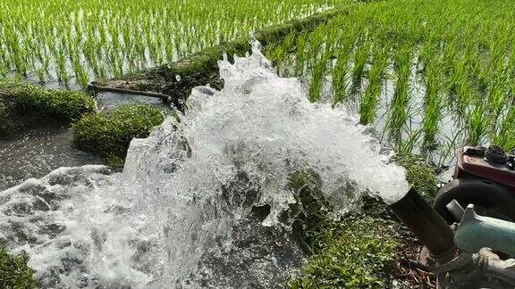 水田深浅机械灌溉的慢动作水田水循环