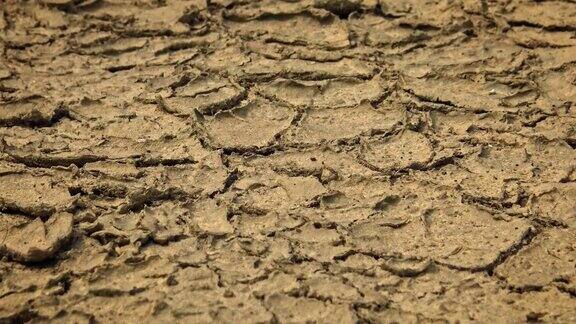 4千块干裂和干旱的土地没有水