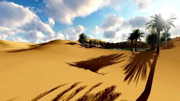 撒哈拉沙漠沙丘棕榈树绿洲日落