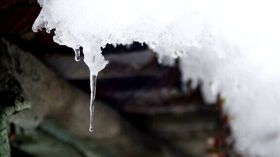 一到春天雪就从屋顶上融化滴落下来