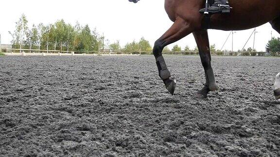 跟着马蹄在沙地上奔跑在潮湿泥泞的地面上奔驰的骏马的腿的特写慢动作