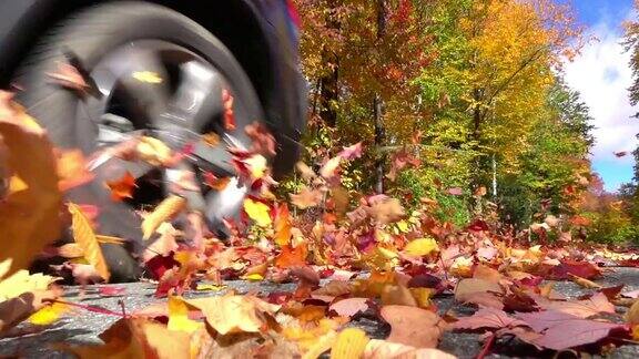 慢镜头蓝色越野车行驶在色彩斑斓的森林里秋叶纷飞