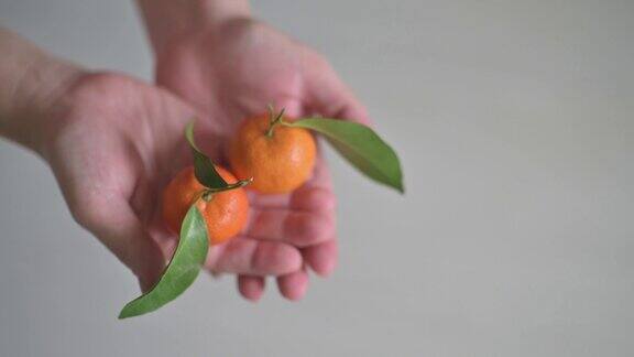 手掌握着中国新年传统橘子