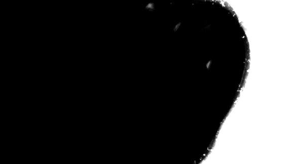 抽象笔触画画面木炭黑色垃圾绘画在白色背景动画肮脏简单的笔触纹理干墨效果创意极简背景视频