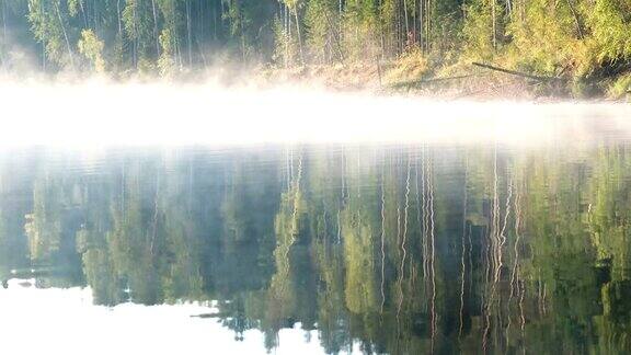 雾笼罩着河秋天的森林倒映在河堤的水面上