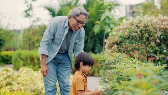 爷爷和孙子在花园里享受闲暇时光