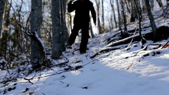 踏在山上的雪里迷失在森林里