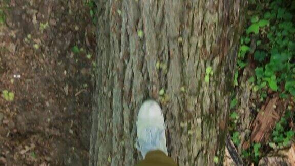 女人的腿在森林里的木头上行走的观点