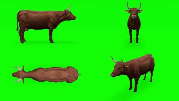绿色屏幕上等待的奶牛动物概念野生动物游戏回校3d动画短视频电影卡通有机色度键人物动画设计元素主题设置可循环