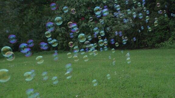 春天花园的泡泡