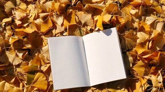 记事本在秋叶上