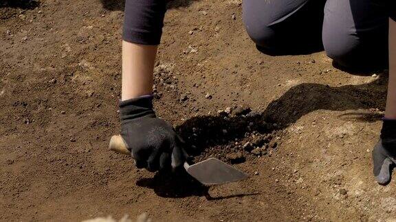考古发掘考古学家挖掘groundg