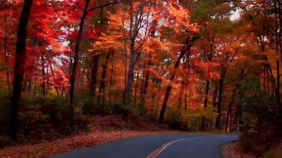 秋天的道路