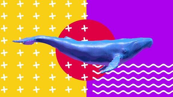 蓝鲸游泳抽象艺术概念与几何形状逼真的3d角色动物在创造性的现代运动风格最小的图形彩色迷幻孟菲斯设计时尚的动画