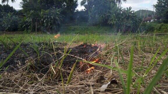 大火烧毁了一个小村庄里的干草、芦苇和大米火灾和自然灾害农夫烧草给田地施肥