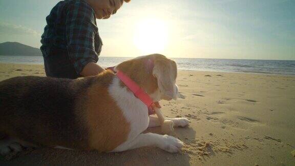 一个女人和一只狗在海滩上