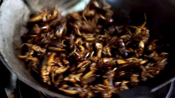 烤蟋蟀锅里炸昆虫做饭用