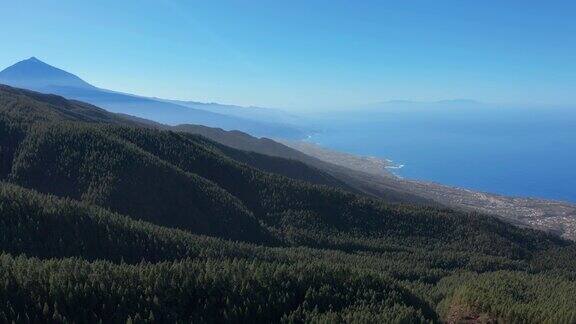 鸟瞰图特内里费岛上茂密的松树林以泰德火山为背景