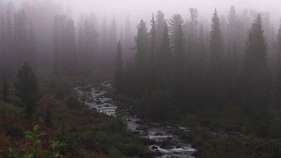 晨雾中的森林和河流