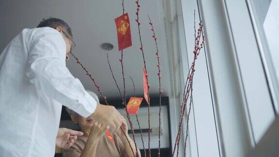 低角度看中国新年老夫妇装饰房子客厅用柳树和红包昂包装饰准备家庭团聚