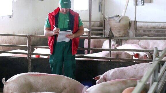 农民和猪