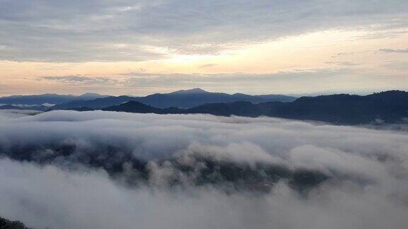 清晨的热带雨林雾和薄雾笼罩着高山