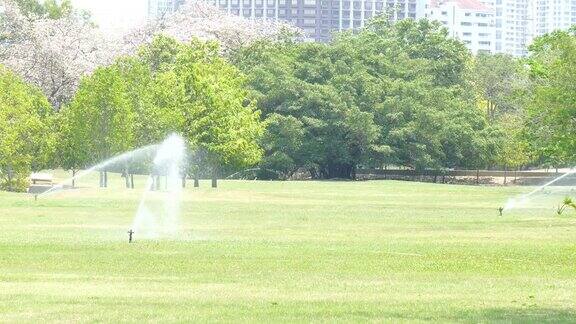 在给草坪浇水的自动喷洒装置