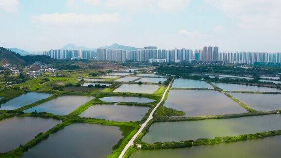 香港元朗鱼塘的无人机视图