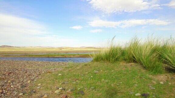 蒙古西南部有芨芨草的蒙古草原