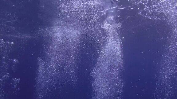 气泡从海底漂浮到水面的缓慢运动蓝色海水中的气泡上升到水面特写镜头