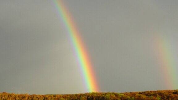 雨后天空中彩虹划过森林