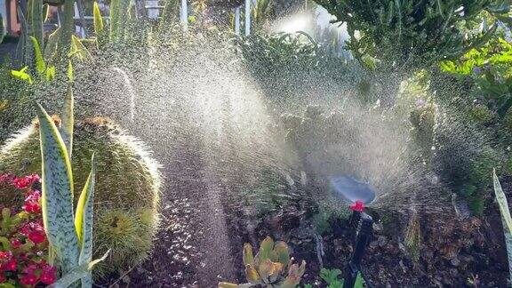 草坪灌溉系统草坪洒水器用于浇草、浇花