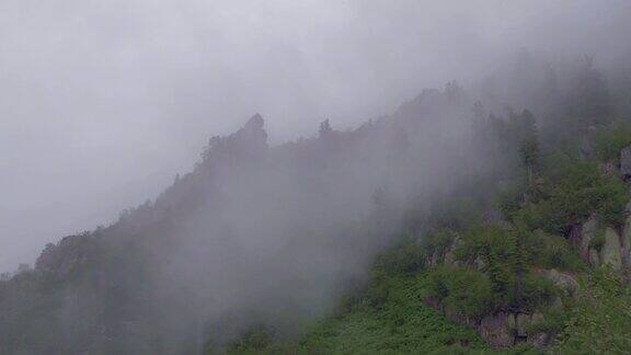 浓雾沿着长满针叶林和岩石的山脉的斜坡蔓延