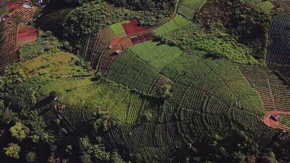 无人机拍摄的泰国北部山区附近稻田的鸟瞰图