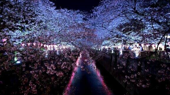 中目黑运河为观光樱花节