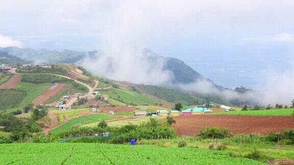 全景式的自然景观风景优美的日出和薄雾的山景在PhuThapBoek泰国泰国