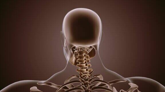 颈部疼痛医学动画背景