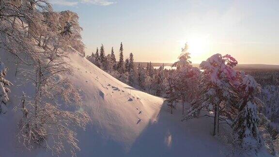 在日出的雪景中飞翔