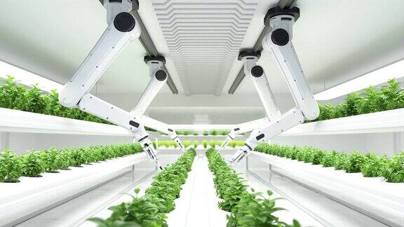 智能机器人农民概念机器人农民农业技术农场自动化