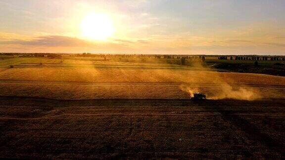 在日落的阳光下飞过联合收割机上空在金色的田野上收割小麦鸟瞰图