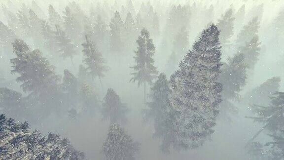在暴风雪中飞过浓雾弥漫的松林4k