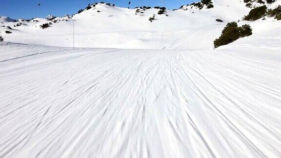 高山滑雪