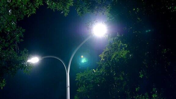 宁静夜晚的路灯