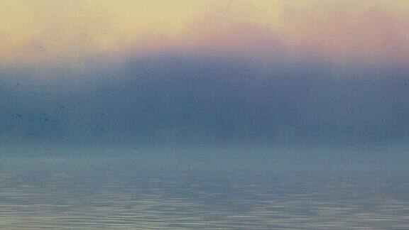 雾解除了湖在日出美丽柔和的托盘鸟类漂浮和飞翔在和平的设置