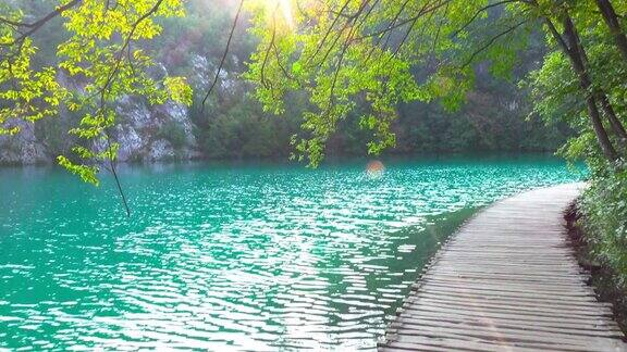 克罗地亚Plitvice湖国家公园的森林湖泊