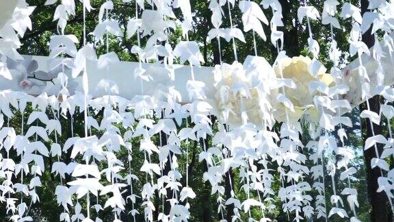 美丽的装饰精致的婚礼拱门与白色的叶子