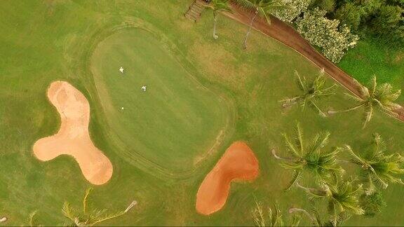 高尔夫球手把绿色热带高尔夫球场棕榈树