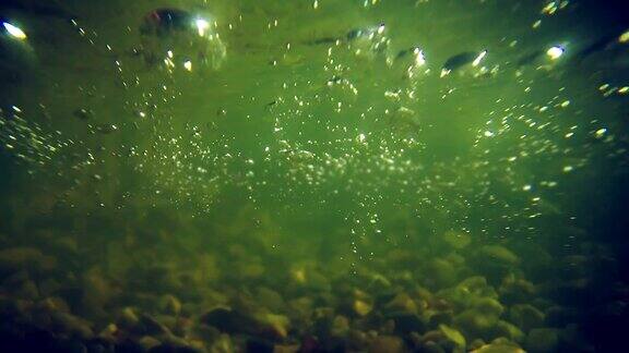 水下风景绿色的水和气泡