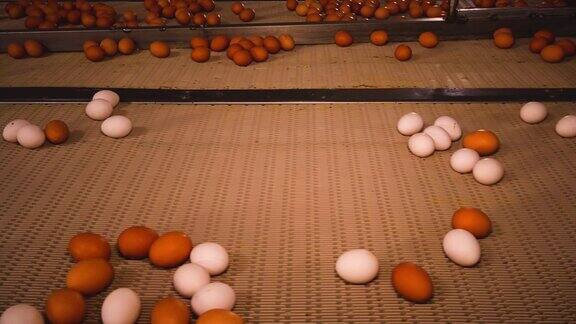 这个养鸡场生产鸡蛋
